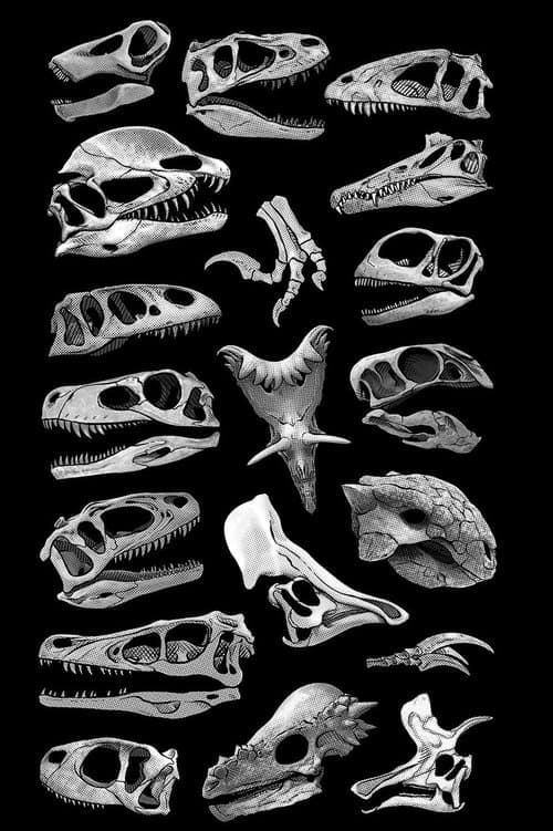 Flowervale Street (2026)